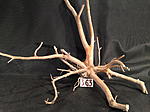 IMG 4276