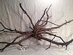IMG 4287