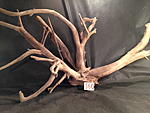 IMG 4271
