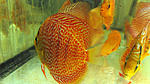 IMG 5764