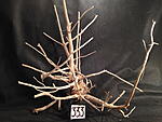 IMG 4223