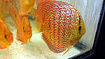 IMG 5759