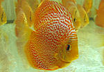 IMG 5804