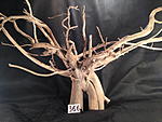 IMG 4285