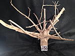IMG 4158