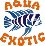 aqua exotic