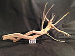 IMG 4268