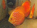 IMG 5637