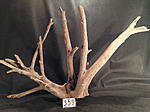 IMG 4269