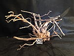IMG 4218