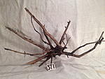 IMG 4289