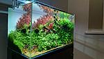 AQUASCAPE