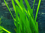 IMG 20200512 152758