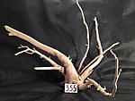 IMG 4266