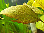 IMG 20200512 152901