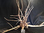 IMG 4216