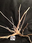 IMG 4228