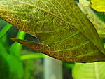 IMG 20200512 153034
