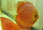IMG 5810
