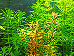 IMG 20200512 152108