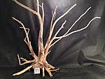 IMG 4142
