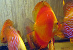 IMG 5640