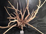 IMG 4284