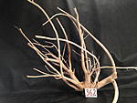 IMG 4274