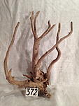 IMG 4291