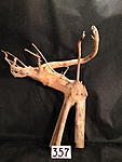 IMG 4267
