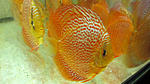 IMG 5794