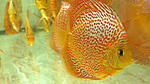 IMG 5769