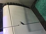 IMG 1011