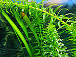 IMG 20200430 183619