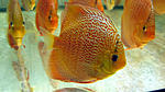 IMG 5834