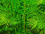 IMG 20200512 152510