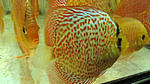 IMG 5773
