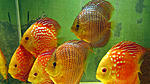 IMG 5863