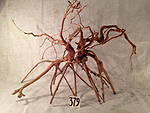 IMG 4436