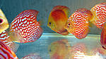 IMG 5912