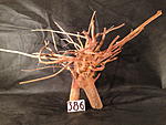 IMG 4446