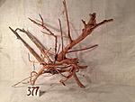 IMG 4434