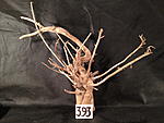 IMG 4457