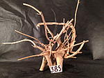 IMG 4444