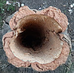 20201004 180546