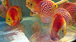 IMG 5914