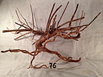 IMG 4358