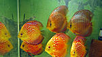 IMG 5883