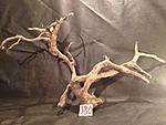 IMG 4438
