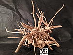 IMG 4456